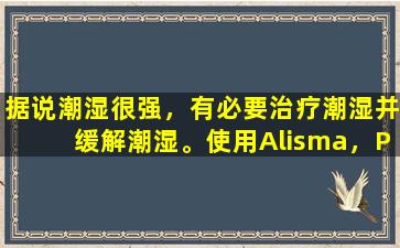 据说潮湿很强，有必要治疗潮湿并缓解潮湿。使用Alisma，Poria  Cocos和Poria  Cocos药物来治疗潮湿。